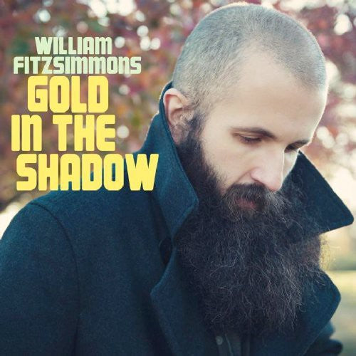 William Fitzsimmons - Gold in the Shadow