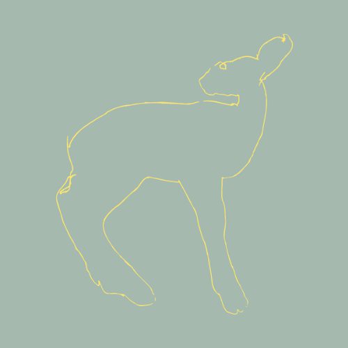 Songs: Ohia - Hecla and Griper [15th Anniversary Edition]