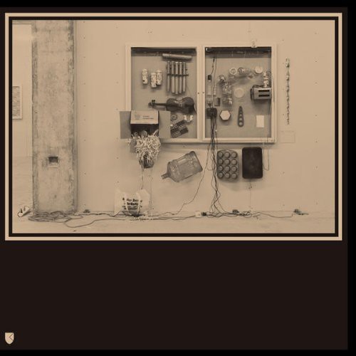 DAVID VAN / TEN TIEGHEM - Fits & Starts