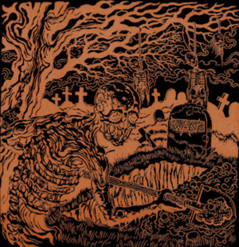 WAN - Dig up the Past