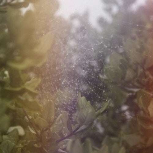 Posse - Perfect H / Voices