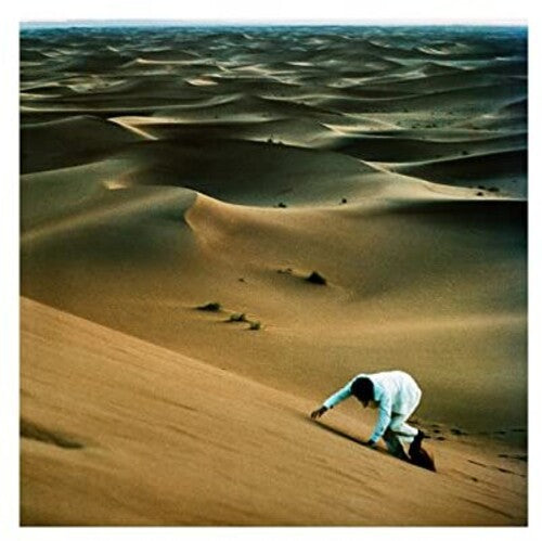 Baxter Dury - Prince Of Tears
