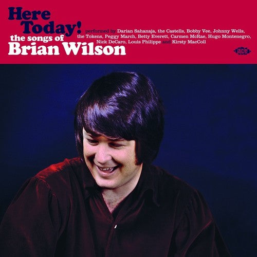 Here Today! Songs of Brian Wilson / Various - Here Today! Songs Of Brian Wilson / Various