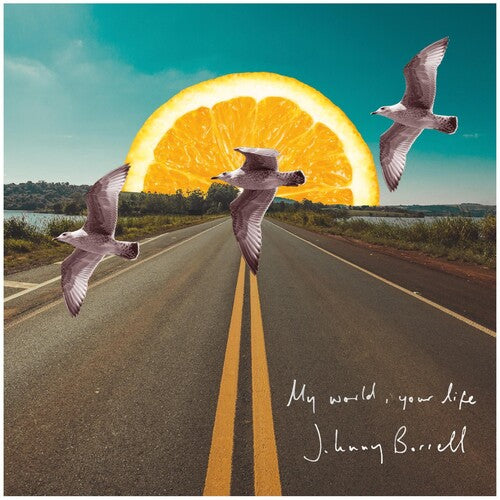 Johnny Borrell - My World Your Life