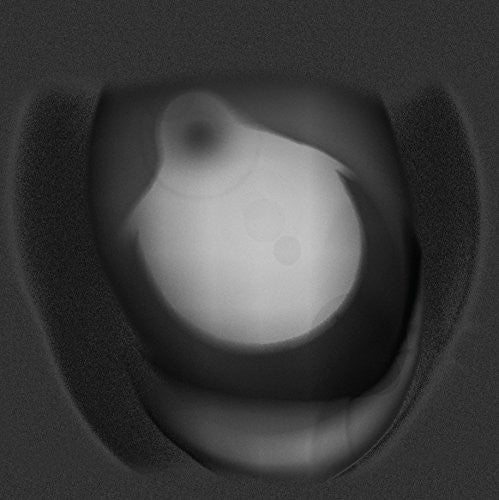 Flies + Flies - Milk & Peppers