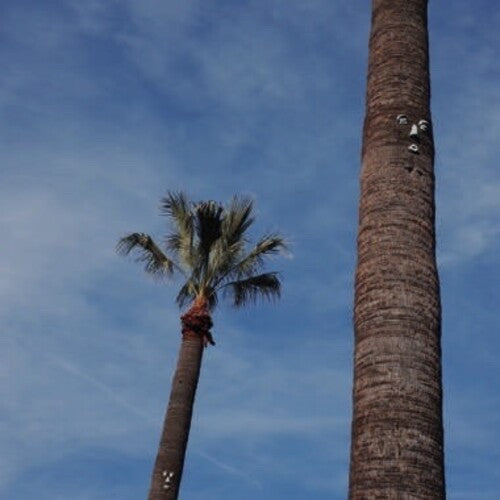 So Stressed - Please Let Me Know