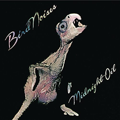 Midnight Oil - Bird Noises