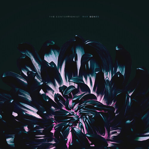 Contortionist - OUR BONES