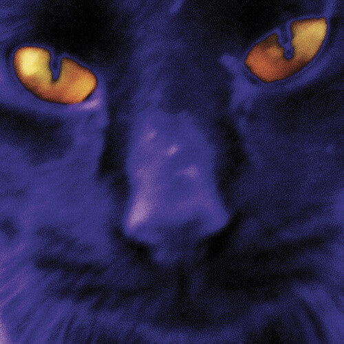David & the Heavy Eights Kilgour - Bobbie's A Girl