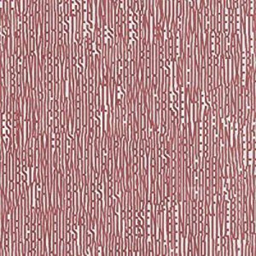 Gavin Crowhurst / Bryars - Crowhurst and Gavin Bryars present Incoherent American Narrative