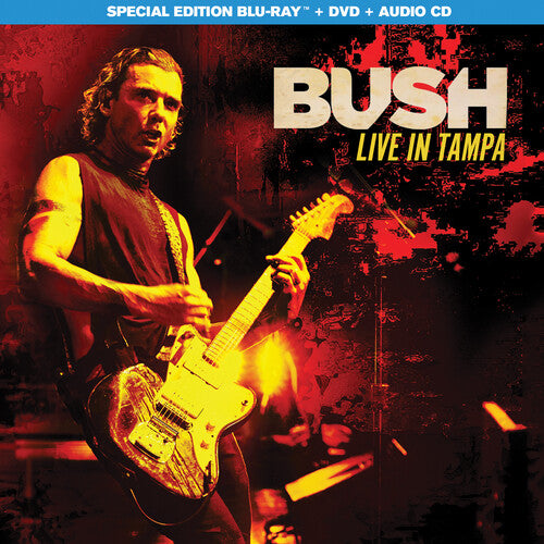 Bush - Bush: Live in Tampa