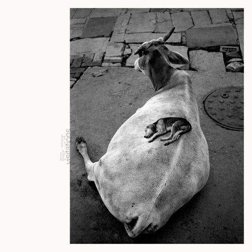 Abrahams, Leo / Ismaily, Shahzad - Visitations