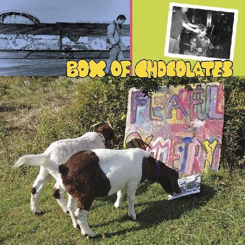 Box of Chocolates - Fearful Symmetry