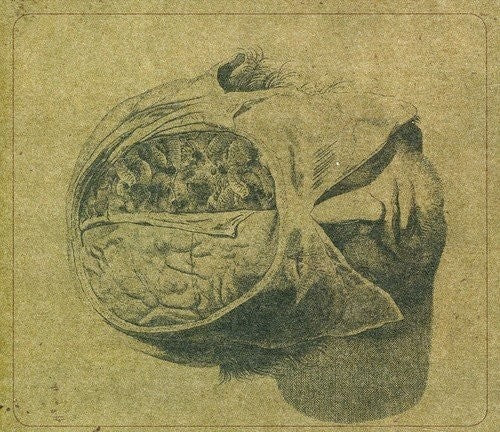 FARSOT - INSECTS