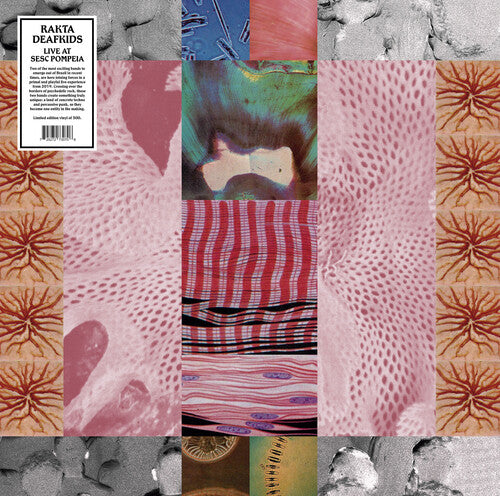 Rakta & Deakfids - Live At Sesc Pompeia