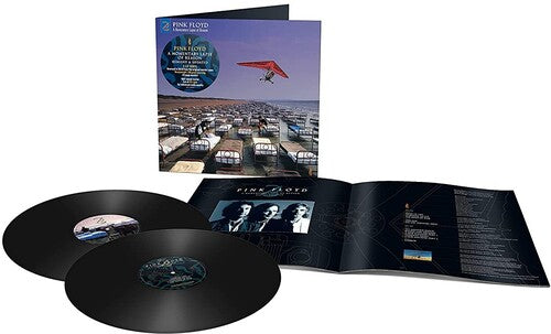 Pink Floyd - Momentary Lapse of Reason