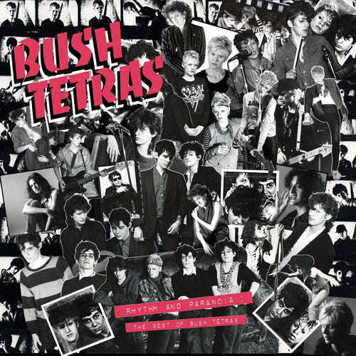 Bush Tetras - Rhythm & Paranoia: The Best of Bush Tetras