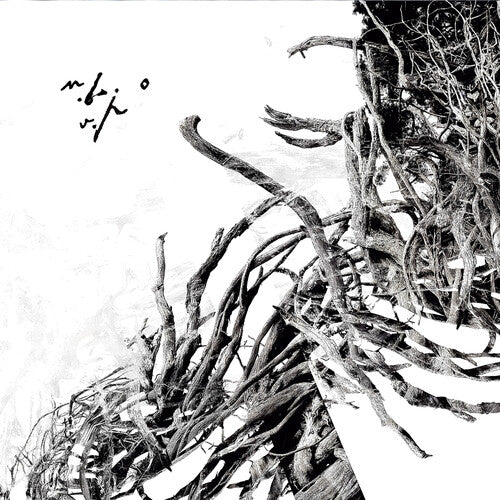 Negura Bunget - Virstele Pamintului