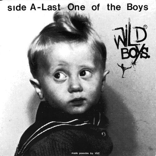 Wild Ones - Wild Boys - Last One Of The Boys / We're Only Monsters