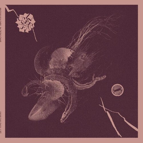 TURNER,AARON / MUELLER,JON - Now That You've Found It