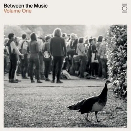 End of the Road Presents: Between the Music / Var - End Of The Road Presents: Between The Music / Various - White Colored Vinyl