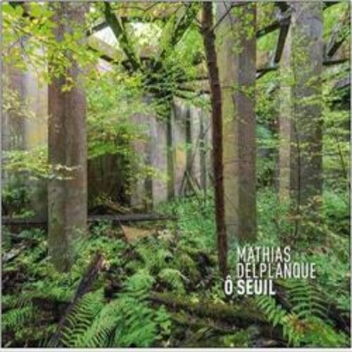 Mathias Delplanque - O Seuil