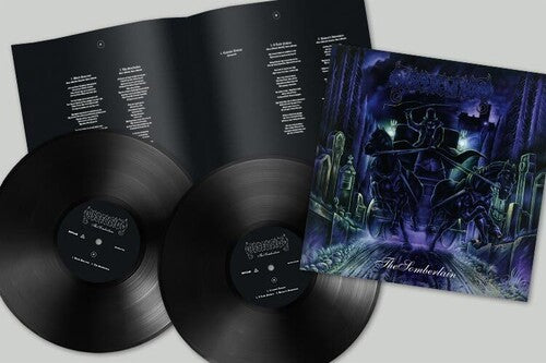 Dissection - SOMBERLAIN