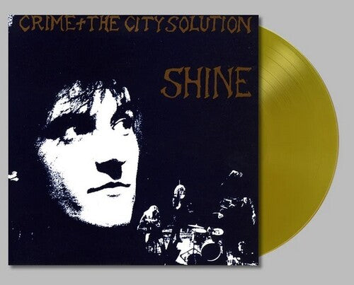 Crime & the City Solution - Shine