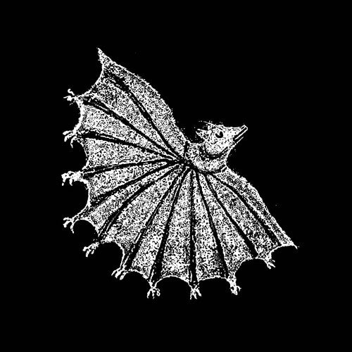 Xiu Xiu - Ignore Grief - Silver Ghost