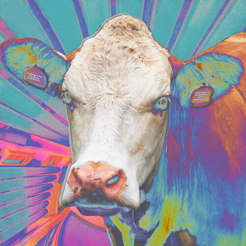 Eyes Of Others - Eyes Of Others