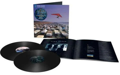 Pink Floyd - Momentary Lapse Of Reason