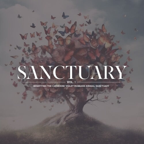 Sanctuary Vol. 1 / Various - Sanctuary Vol. 1