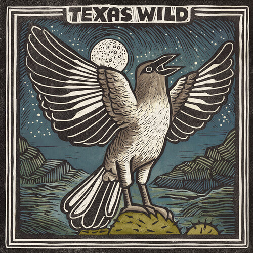 Texas Wild / Various - Texas Wild (Various Artists)