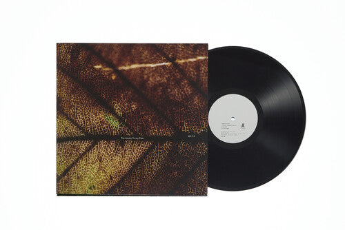 Pay Money to My Pain - gene