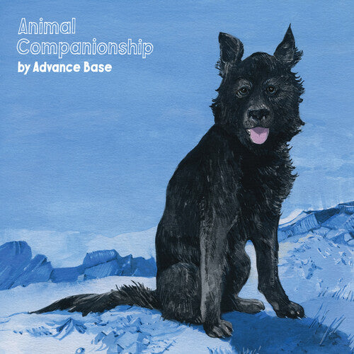 Avance Base - Animal Companionship