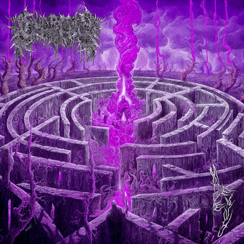 Civerous - MAZE ENVY