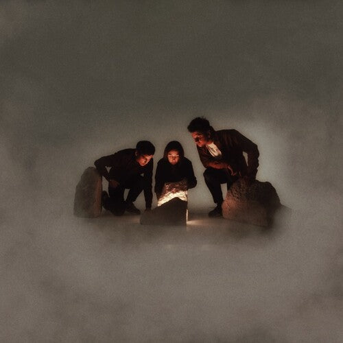 Blind Seagull - Decade Of Effort