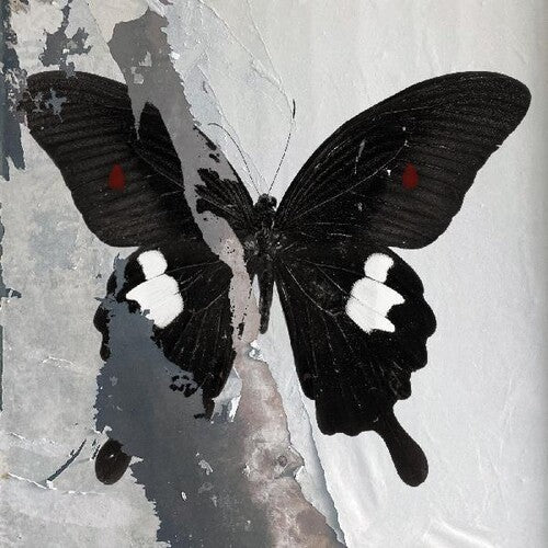 Death Cult - Paradise Now