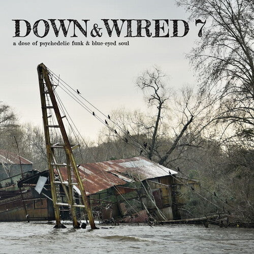 Down & Wired 7 / Various - Down & Wired 7 (Various Aritst)