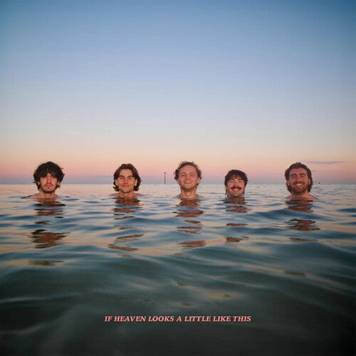 Delights - If Heaven Looks A Little Like This - Orange Colored Vinyl