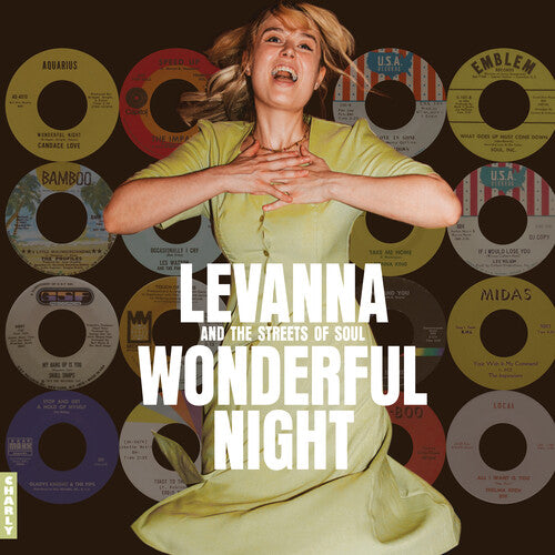 Wonderful Night Curated by Levanna / Various - Wonderful Night Curated By Levanna (Various Artists)