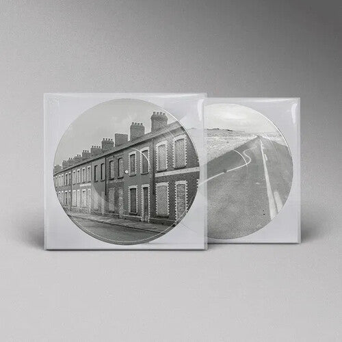 Manic Street Preachers - Critical Thinking - Limited Picture Disc