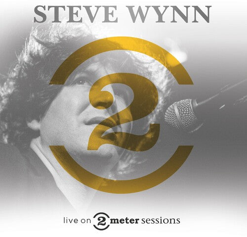 Steve Wynn - Live On 2 Meter Sessions