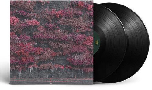 【新品未開封】【レコード】Sleep Token Even In Arcadia Amazon.com: Even In Arcadia: CDs & Vinyl