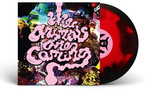 Black Helium - The Animals Are Coming