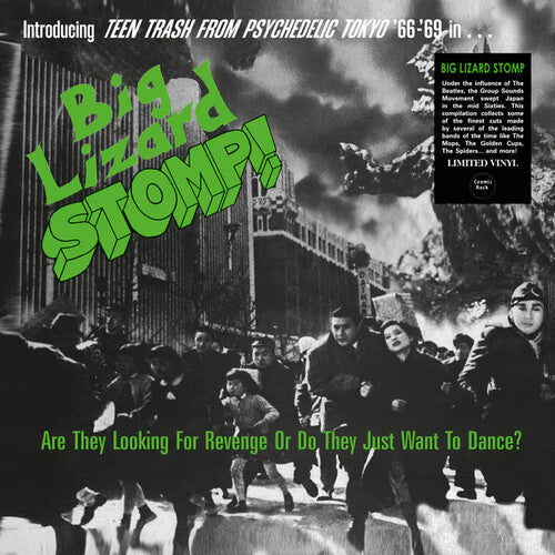 Big Lizard Stomp (Teen Trash From Psychedelic / Va - Big Lizard Stomp (TTrash From Psychedelic Tokyo '66-'69)