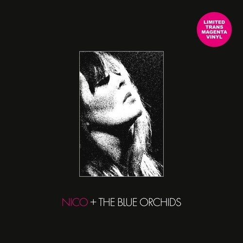 Nico / Blue Orchids - Live And In Session 1982
