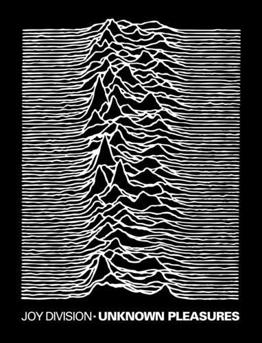 Rocksax Joy Division Blnk Unknown Pleasures 60x80 - Rocksax Joy Division Blnk Unknown Pleasures 60x80