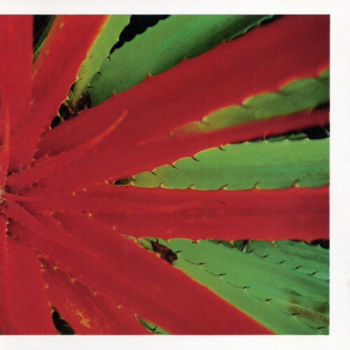 JEJUNE - This Afternoons Malady