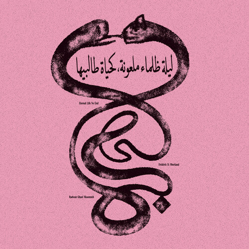 MOUMNEH,RADWAN GHAZI / OBERLAND,FEDERIC D. - Eternal Life No End